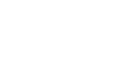 Logo-DSM White