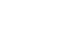 Logo-Evonik-White